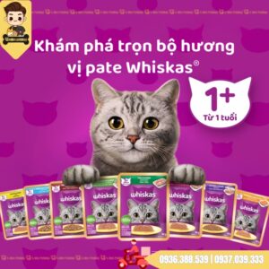 Pate whiskas gói 80g 12 vị (8 mèo lớn ,4 mèo con)