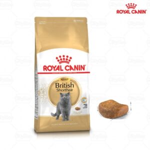 Hạt mèo-british shorthair Adult 2kg