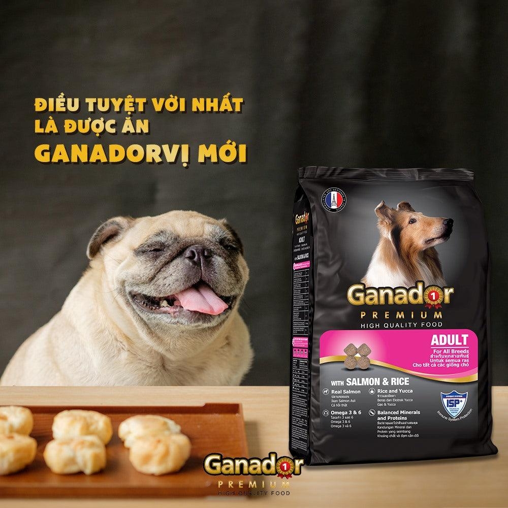 Thức ăn cho chó trưởng thành Cá hồi và gạo - Ganador Premium 400gr