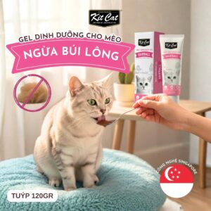 Gel dinh dưỡng kitcat Tiêu búi lông/ tăng cân/ tiết niệu