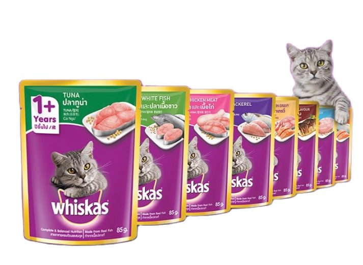 Đánh giá chi tiết thức ăn Whiskas cho mèo: hạt và pate, các dòng sản phẩm, ưu nhược điểm thực tế.