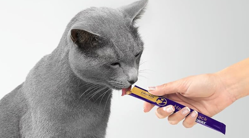 Súp thưởng và bánh thưởng cho mèo có tốt không? Bí quyết sử dụng snack khoa học giúp mèo tránh béo phì, biếng ăn bữa chính.