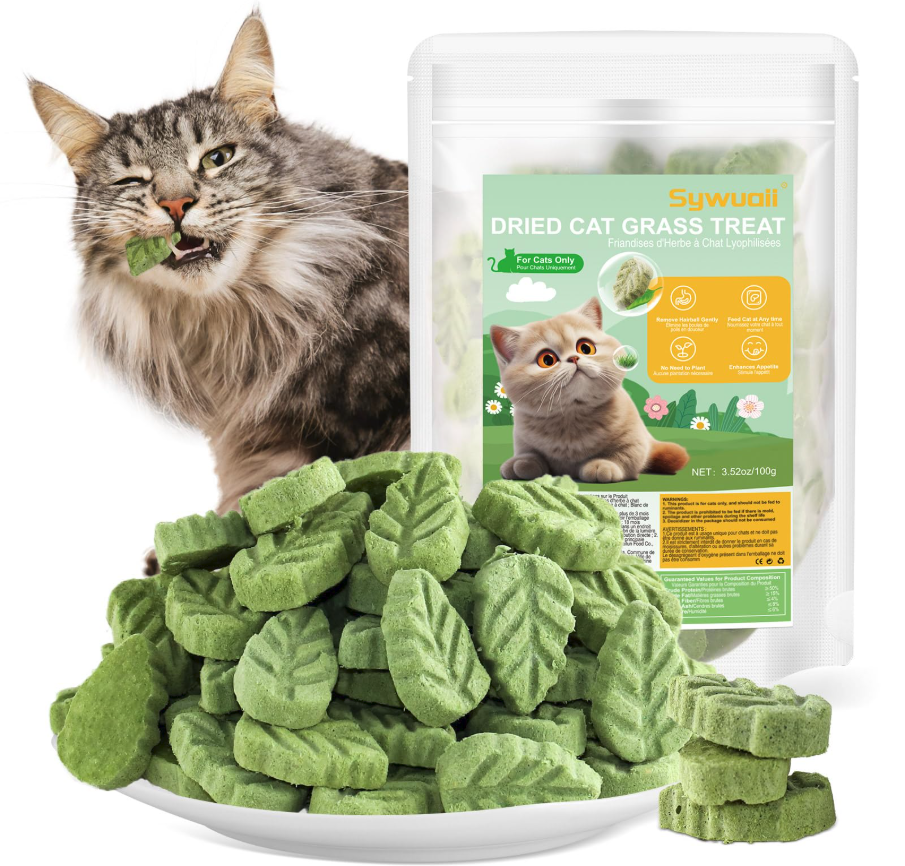 Giải mã công dụng của cỏ mèo, catnip và gel tiêu búi lông. Hướng dẫn cách sử dụng để chống nôn trớ, tắc ruột do hairball ở mèo hiệu quả nhất.