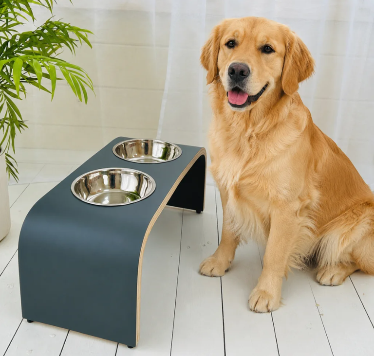 Chó Golden ăn gì? Hướng dẫn chọn hạt cho chó Golden Retriever giúp khung xương vạm vỡ, ngăn ngừa loạn sản xương hông và giảm tỷ lệ rụng lông dị ứng.