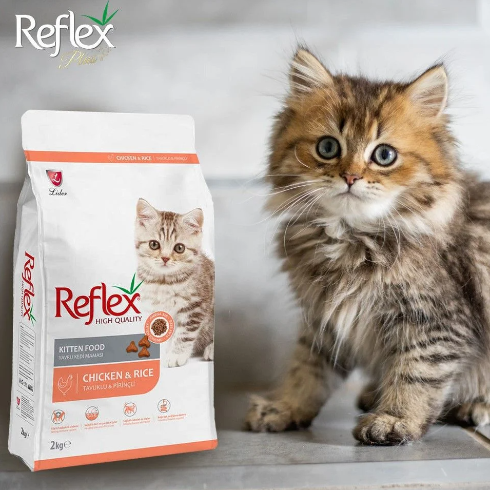 Hạt Reflex cho mèo có tốt không? Đánh giá chi tiết bảng thành phần, công dụng của Reflex Plus và Reflex thường. Tư vấn lựa chọn hạt phù hợp cho hệ tiêu hóa.